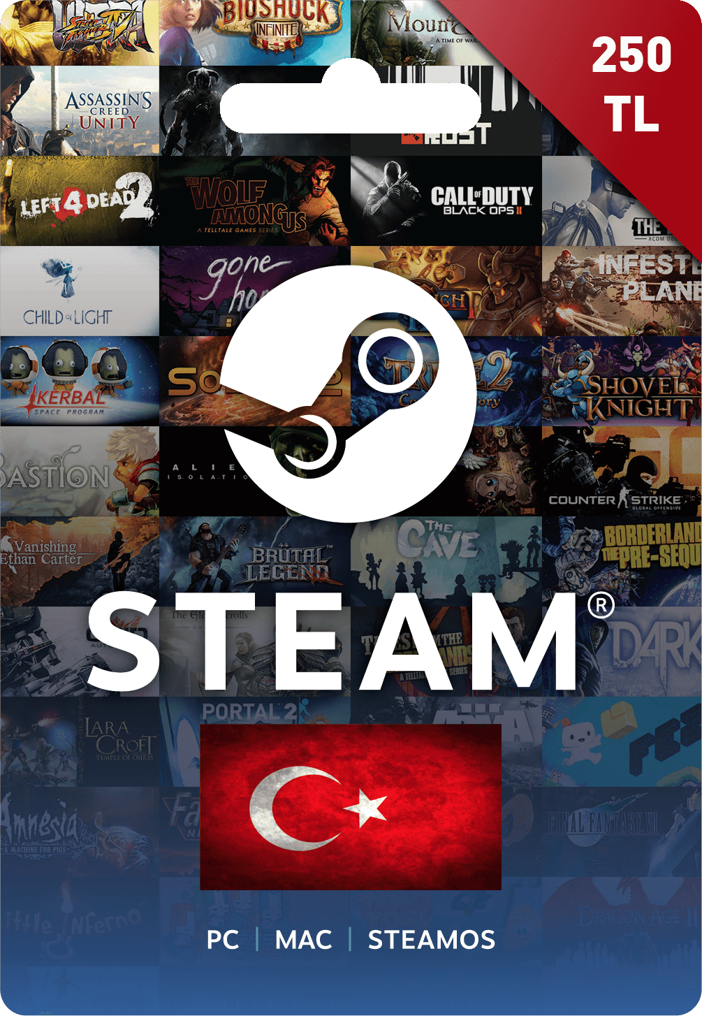 Steam Wallet Codes 250 TL
