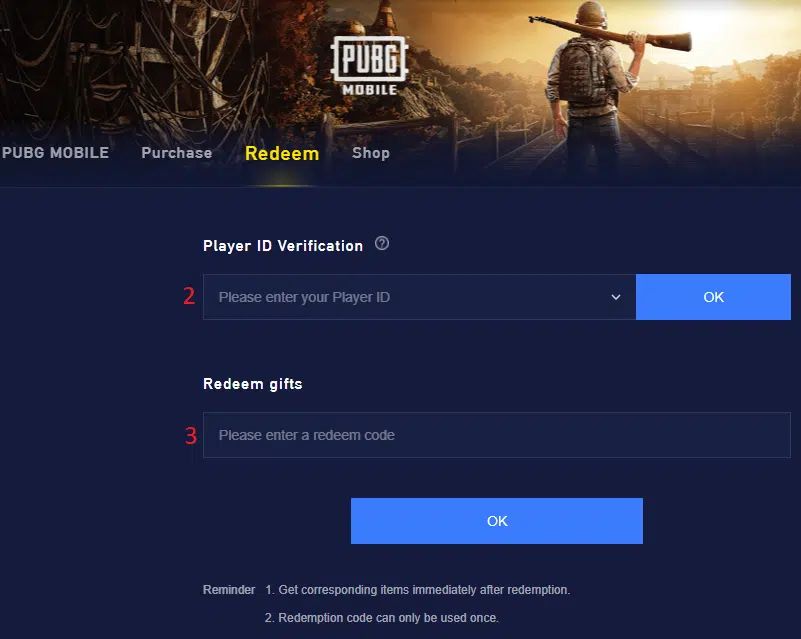 Pubg store online shop